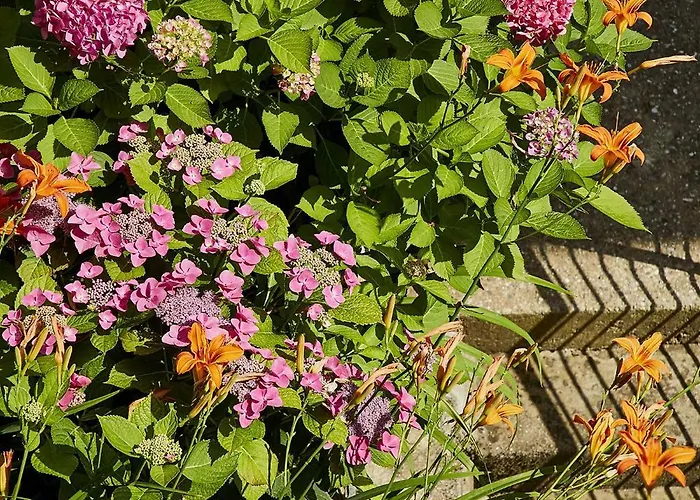 Beachvilla Velden דירה *